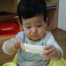 참빛 이미지