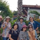 물댄동산 이미지