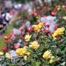 곡성-052 네이버블로그