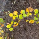 장제로155번길 이미지