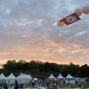 와이솔루션스 이미지