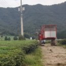 명랑가옥 | 🌊🌿 역사와 녹차 향이 가득! 전남 보성 서부지역 알짜배기 탐방 후기! 🏯💚