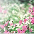 오후반 이미지
