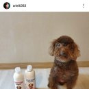 킹콩샤워 이미지