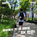 도도한댕댕 | 탄이와 함께! 댕댕런 2021 (내돈내산 참가)