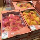 대은농장 | 충북 옥천 로컬푸드 복숭아 구매 후기 (복숭아 축제)