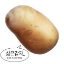 엥 왜 벌써 7월