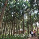 은평더맑은의원 이미지