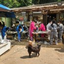 장미미장원 이미지