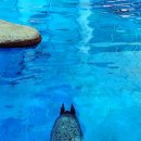 하마정원 이미지