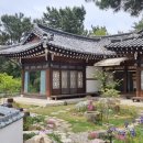 타샤의언덕