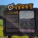 정원충전소 | (단양가볼만한 곳2) 도담삼봉 맞은편 도담정원에서 만난 아름다운 풍경과 국가지질공원 운선구곡 사인암...