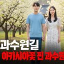 과수원길 이미지