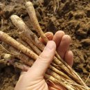 엄마손슈퍼 이미지