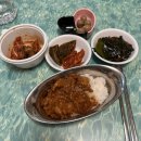 벌교읍 무만경로당 | 벚꽃잎이 떨어져가는 벚꽃나무도 꽤 이쁩니다