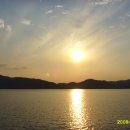 순천만 갈대밭 이미지