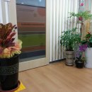 아이큰햇빛어린이집 이미지