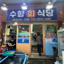 죽도시장 | ［수향회식당］ 포항 죽도 시장 물회 맛집 추천 후기