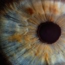 밝은한의원 이미지