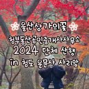玧(윤)부동산중개 | 울산 청부동산 2024 가을 단체 산행 in 청도 운문사 사리암