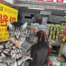 완도 건어물 이용 후기. 완도사랑