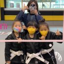 용인대 특전합기도 이미지
