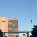 마운티 | 부산 숙소 아난티 앳 부산 코브 킹프리미엄 룸 마운티뷰 후기