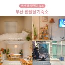 방학동물약국 | 부산 한달살기 숙소 후기 해운대 해리단길 독채 숙소 단기월세 추천