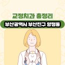 부산광역시 부산진구 양정동 교정치과 총정리