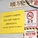 버들김밥 이미지