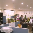 미래로세계로여행사