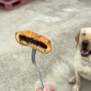 함덕 스마일찹쌀꽈배기 팥도너츠, 핫도그 다 맛있는 가게