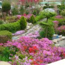 메이하우스 이미지