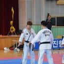 대한합기도 이미지