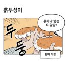 뚜레쥬르청전점 네이버블로그