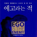 에고 이미지