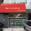 잠실애견카페도그마루