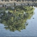 박태준기념관 이미지