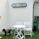 응암애견 | 불광천 새절역 응암역 근처 애견동반 &#34;카페원츠&#34;방문후기