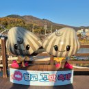 꼬막 | 2025 벌교꼬막축제 다녀온 후기 주차 먹거리