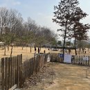피터팻츠 - 고양시 덕양구 주교동 | 피터팻츠