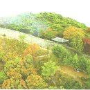 박씨뎐