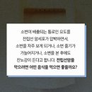 천년약속 이미지