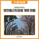 대천4동 행정복지센터 | 보령 봄 산책 명소, 명천동 근린공원 벚꽃 개화 상황 🌸