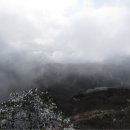 하얀세상 이미지