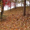 이동원의 가을 편지 이미지