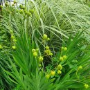 화정벌의원 이미지