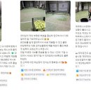하하테니스 이미지
