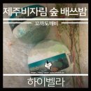 (하이벨라유니버스) 제주 비자림 숲 배쓰밤 후기