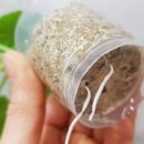 체리블러썸 이미지